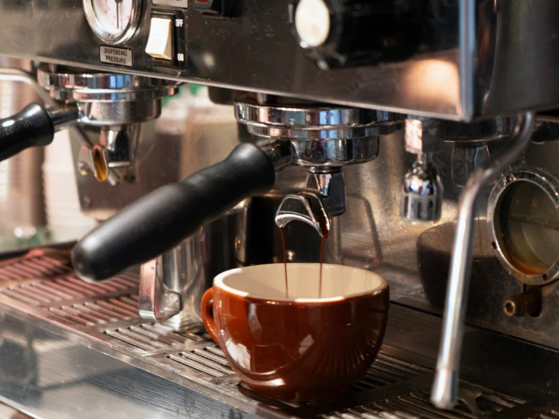 macchine-caffe-manuali-per-ristoranti-a-pavia